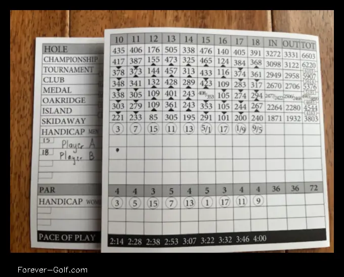 what is a net score in golf