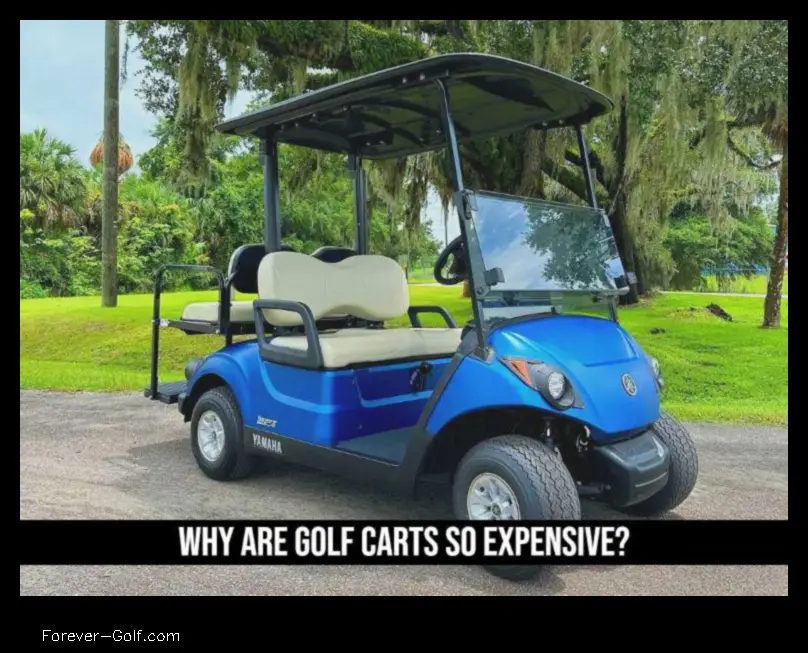 why are golf carts so expensive