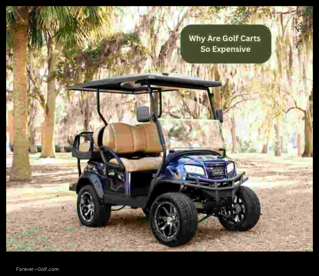 why are golf carts so expensive