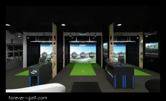 indoor golf simulator business plan