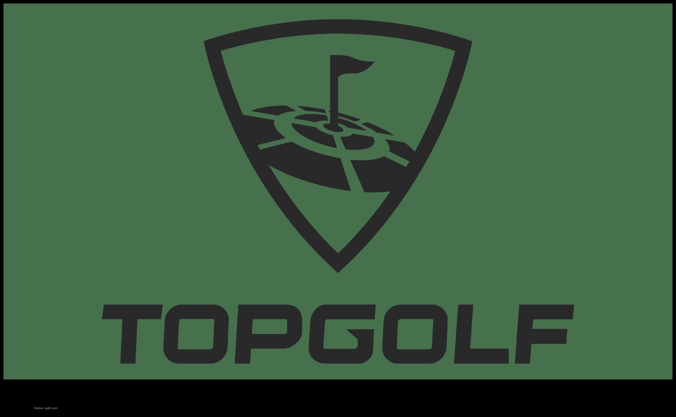 Top Golf Logo a Transparent Look at the Brands Identity